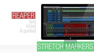 Reaper Tutorial: Stretch Markers - The Basics