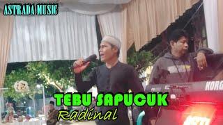 lagu jambi || viral gaya asli radinal keluar sewaktu jadi tuan rumah