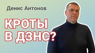 ДВИЖЕНИЕ ЗА НОВЫЙ СОЦИАЛИЗМ ПОД УДАРОМ: КТО ЗА ЭТИМ СТОИТ? ДЕНИС АНТОНОВ