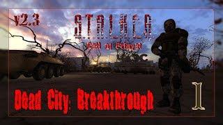 S.T.A.L.K.E.R. Dead City: Breakthrough (v 2.3) #1