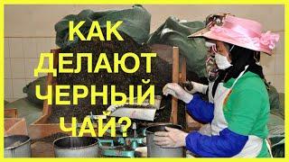 Как делают черный чай? | Технология производства черного чая | Чайгород