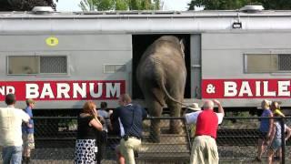 Ringling Brothers and Barnum & Bailey Circus Train at Hershey