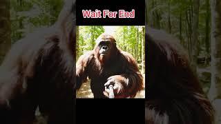 Monkey Took a Selfie… But What Happened at the End Will Shock You!