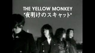 THE YELLOW MONKEY - 夜明けのスキャット（Official Music Video）