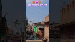 Jaha lakhisarai khuta gaar deto ge #shorts karamveer babu video #short kkmofficial  
