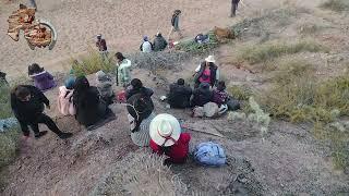 PIALADA SEÑALADA Y MARCADA EN LA FAMILIA VELÁZQUEZ DE VOLCAN DE YACORAITE - JUJUY - 2023