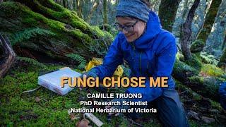 Fungi chose me - Mycologist Camille Truong