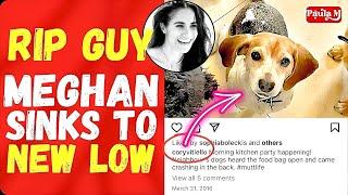 The Dog Story Exposes More Lies! MEGHAN MAKES ME SICK!