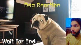 Dog Reaction | The NUN Trailer | Wait For End | FD AHMAD YT