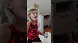 🪄#magic bottle disappears! #kidsfun