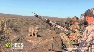 HECS Stealthscreen Bobcat Encounter