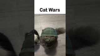 Cat Wars