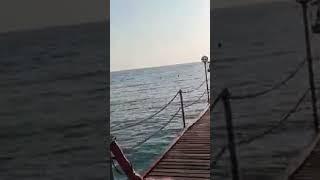 море. закат. пирс. идеально. Турция. #море #пирс #природа #Турция #travel #turkey