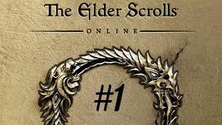 The Elder Scrolls Online  (1 серия)   Как комфортно начать играть в  TESO