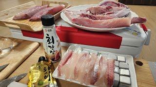 전투낚시 나눔 선사: 지세포 현대마린 #긴꼬리벵에돔 #벤자리 #뺀찌 #참돔 #부시리 #낚시라이브 #선상흘림