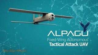  ALPAGU - A Light but very Deadly Field Soldier Drone