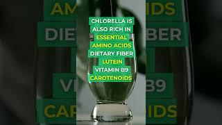 CHLORELLA - Ancient Superfood