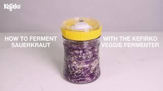 HOW TO FERMENT SAUERKRAUT WITH KEFIRKO VEGGIE FERMENTER