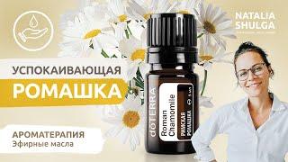 Успокаивающая РОМАШКА | Roman Chamomile | Свойства, применение, кому подходит?