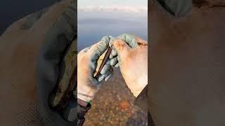 Поисковый магнит в реку 🫣чего там только нет  #рекомендации #рыбалка #top #fishing #приколы