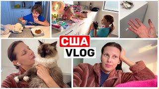 США Влог Починили! Почти $1000!!! Семейный Влог Большая семья Big big family in the USA VLOG