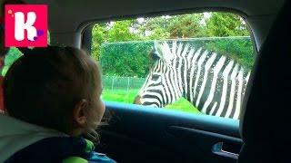 Katy and Max in the Zoo