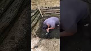 Building a survival dugout #bushcraft #build #ourdoor #survival #fyp #craftingvisionary