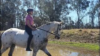 Bareback riding wild and free!