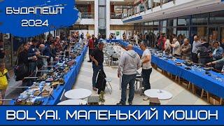 Будапешт-2024. Маленький Мошон. 20.10.24