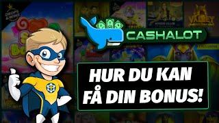 Den Ultimata Cashalot Casino Bonusen: Exklusiva Erbjudanden & Kampanjkoder (2024 Guide) ️