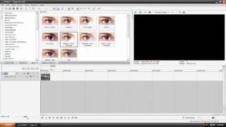 Sony Vegas Pro 10 - Beginners Tutorial (New!)