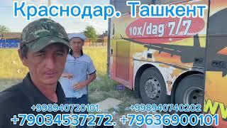 Краснодар. Ташкент автобус#Краснодар Ташкент автобу праямой рейс#Краснодар Узбекистан автобус