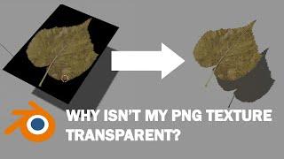 How to make PNG Textures Transparent? | Blender 3D