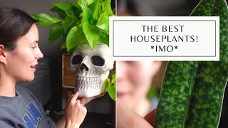 All The Best Houseplants! | My Favorite Indoor Plants Right Now WOW