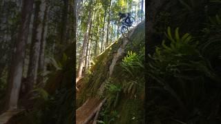 Riding down a super steep rock slab! #mountainbike