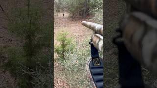 Go check out the video when I got my first buck #deerhunting #buck #outdoors #wildlife #first #diy