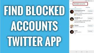 How To Find Blocked Accounts On Twitter App In 2024