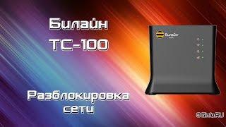 Билайн TC-100. Разблокировка сети