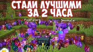 Мы стали ОДНИМИ из ЛУЧШИХ за 2 ЧАСА на Анархии SpookyTime