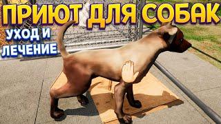 НАШ ПРИЮТ ДЛЯ СОБАК ( Animal Shelter )