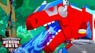 A Dinobots Instinct  | Transformers Rescue Bots | Transformers TV