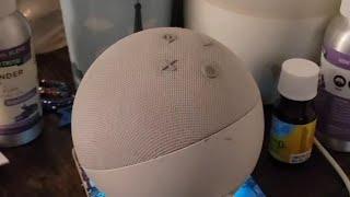 Tricks I've taught my Alexa Echo Dot to do