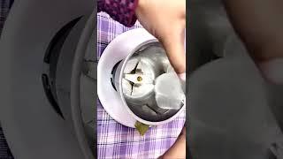 Long Hair Tips / Hair Growth Remedy / Apni Rasoi Ka Swaad No 1