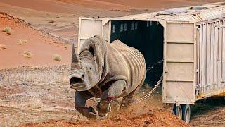 Animals Being Freed For The Very First Time !