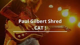 Paul Gilbert Shred CAT |