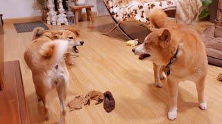 mom YELLING at step-daddo