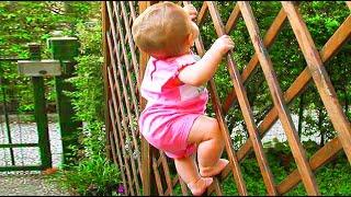  [LIVE] Funny Baby Videos: Best Of Hilarious Outdoor Baby Compilation || Cool Peachy