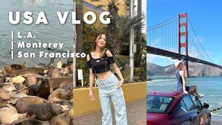 USA vlog : เที่ยว San Francisco, ดูสิงโตทะเล มุมถ่ายรูป golden gate สุดปัง