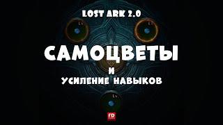 Как усилить навыки с помощью самоцветов в лост арк 2.0