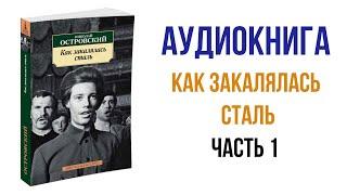 Николай Островский Как закалялась сталь Аудиокнига Часть 1 #аудиокниги #книги #литература